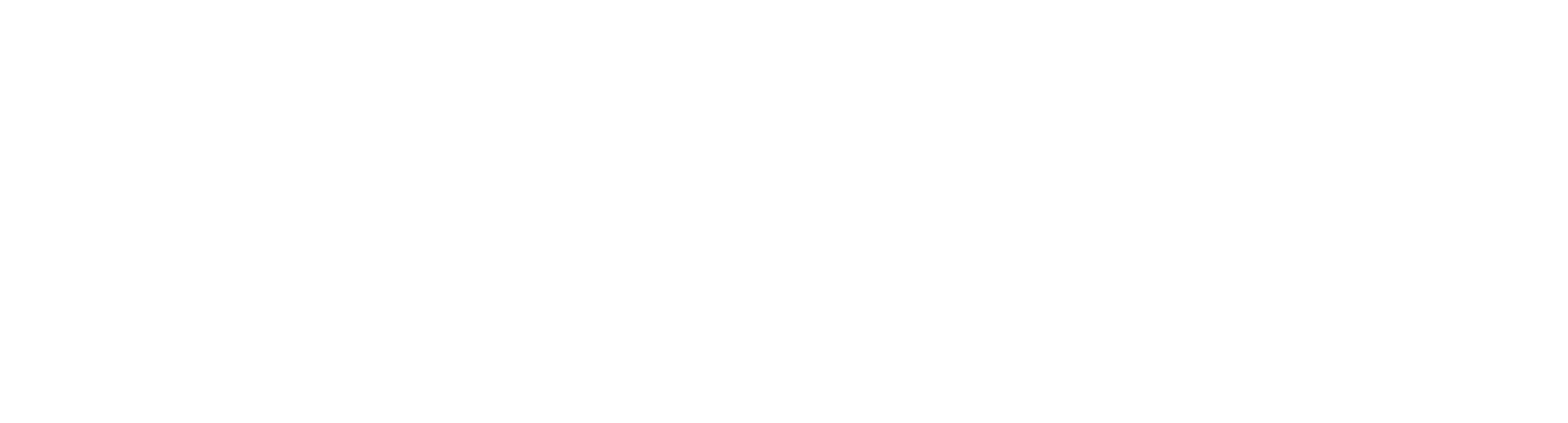 VS PARTNERS